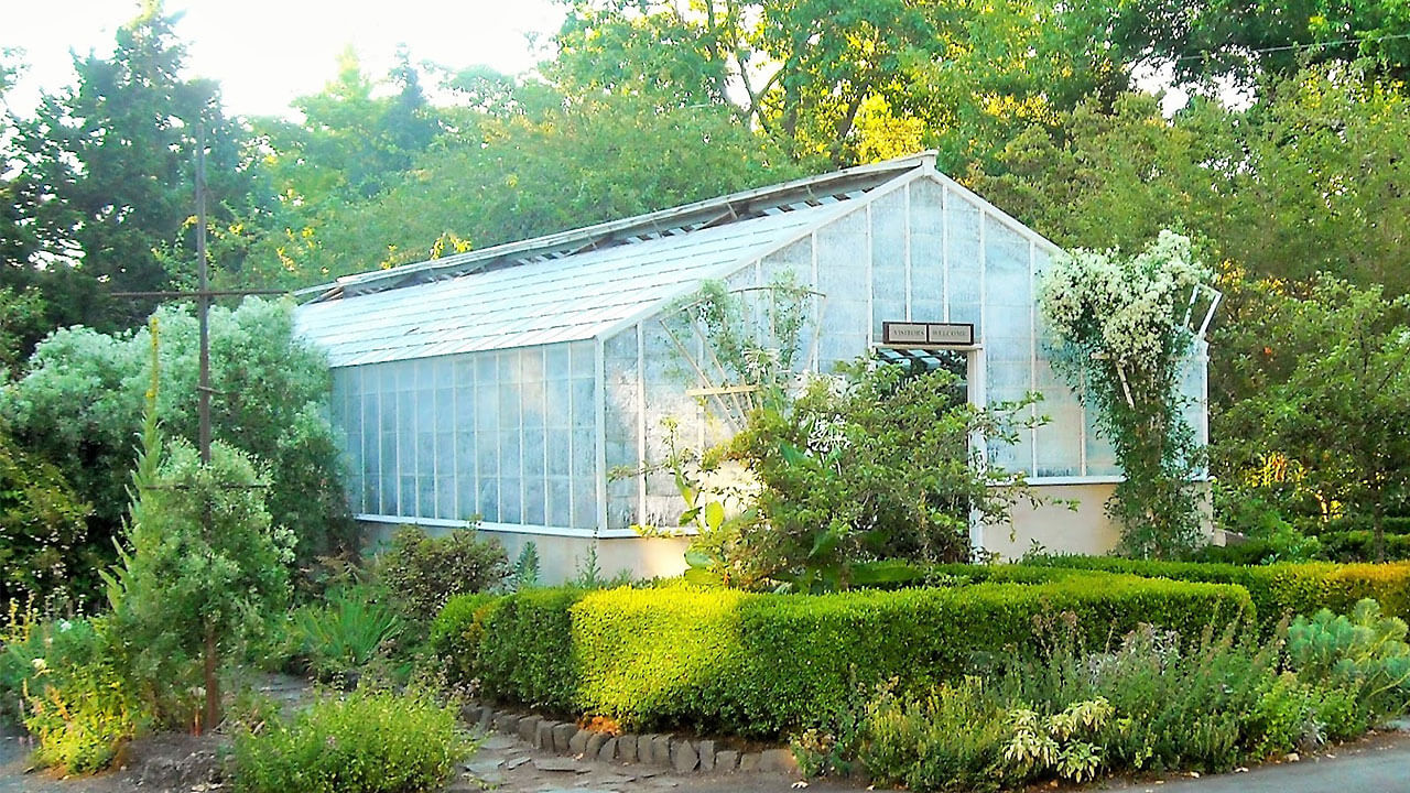 Bush conservatory