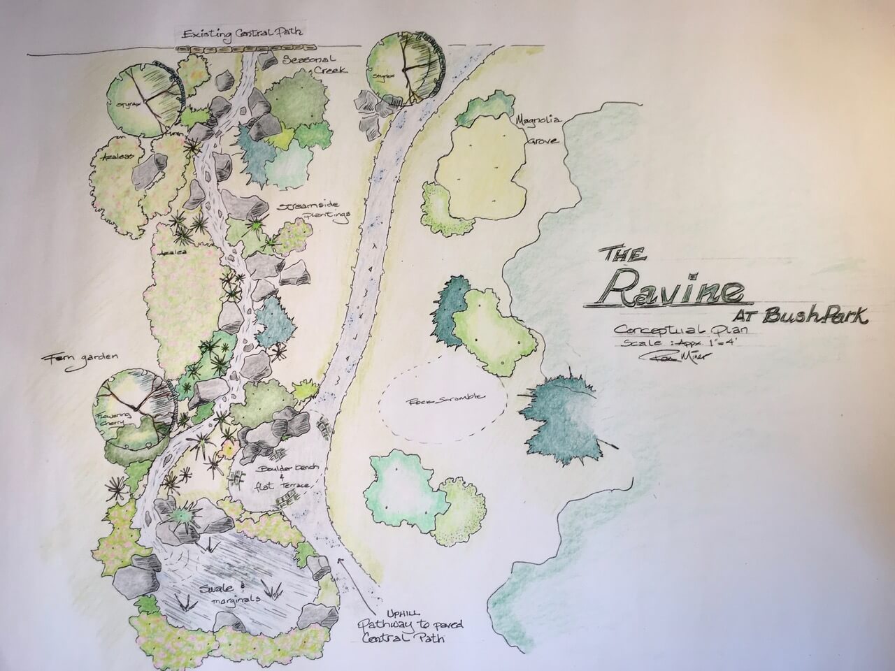 A conceptual plan of The Ravine at Bush’s Pasture Park